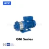 GTX Horizontal Multistage Pump GM Series