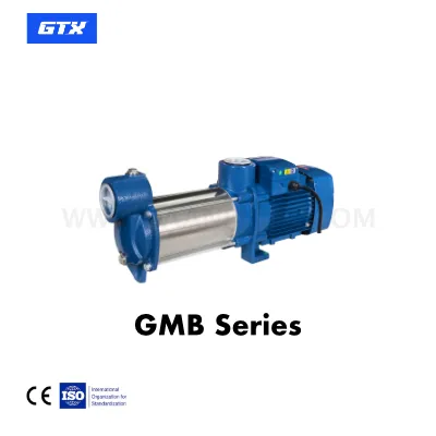 GTX GMB Series Multistage Self-Priming Pump
